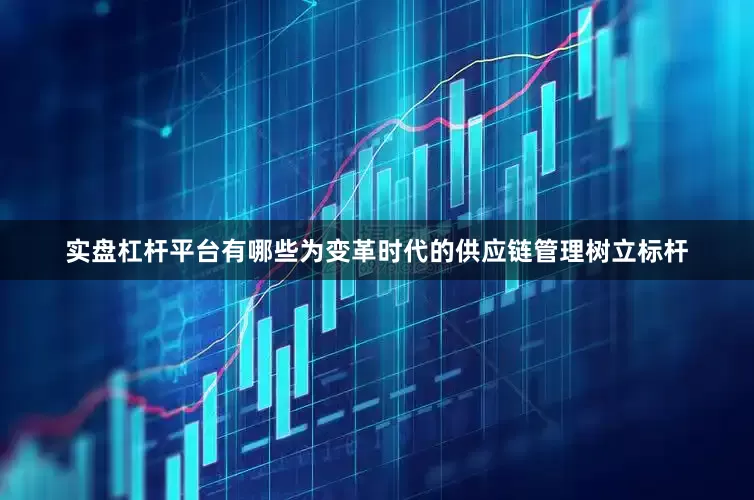 实盘杠杆平台有哪些为变革时代的供应链管理树立标杆