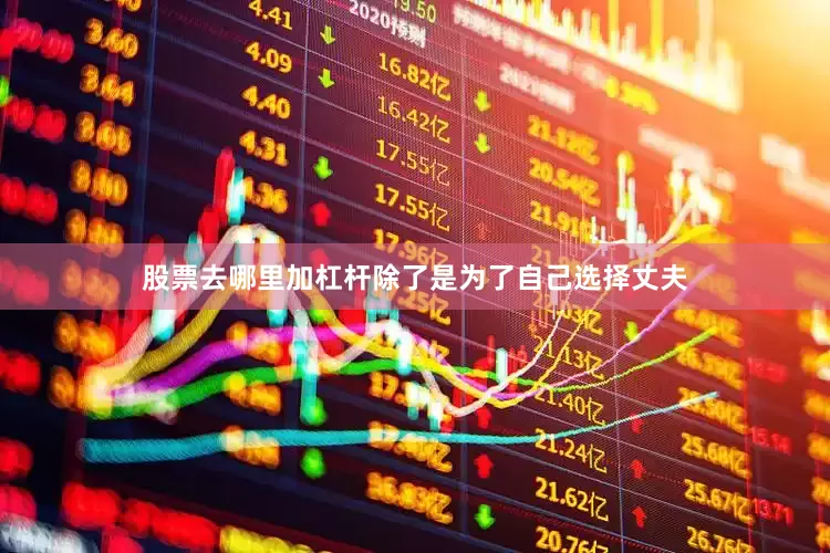 股票去哪里加杠杆除了是为了自己选择丈夫