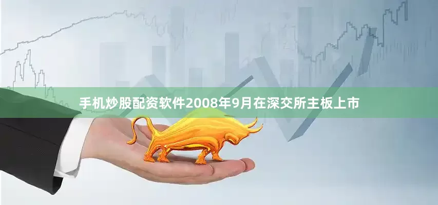 手机炒股配资软件2008年9月在深交所主板上市
